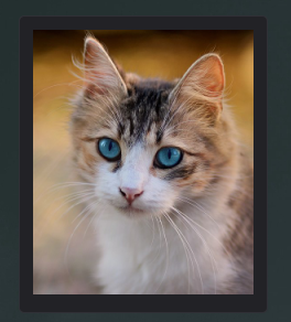 Image Desklet Image Desklet